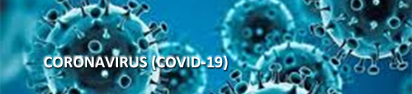 COVID - 19